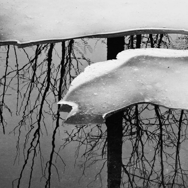 Pond with ice around it